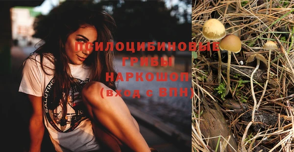 соль ск Лиски