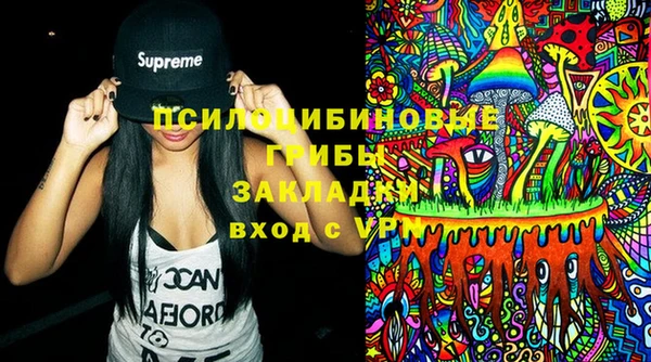 соль ск Лиски