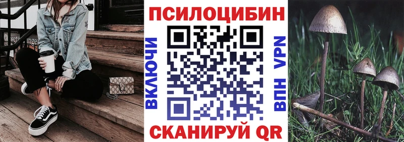 кракен как войти  где продают   Дербент  Псилоцибиновые грибы ЛСД 